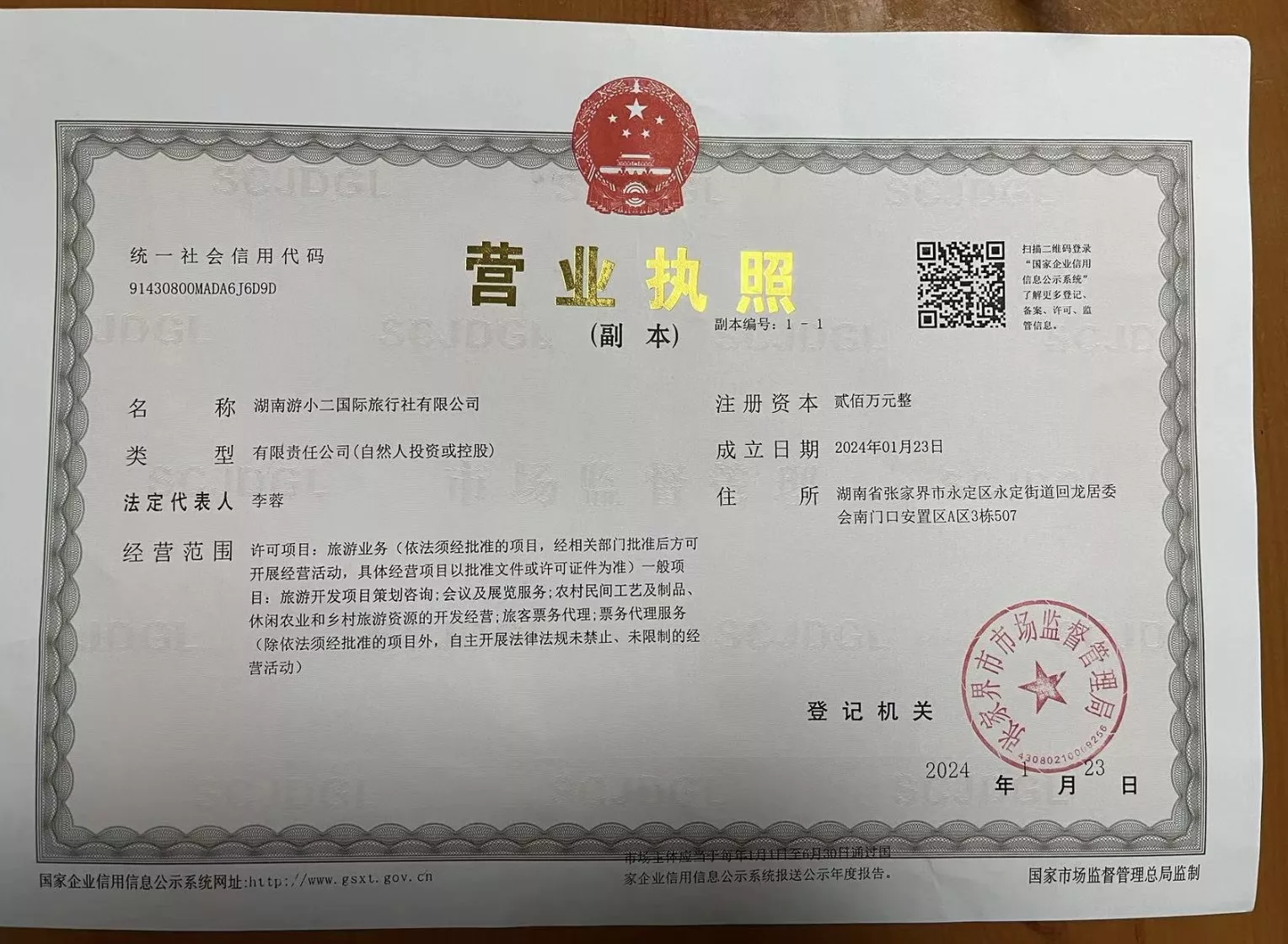 湖南游小二国际旅行社营业执照
